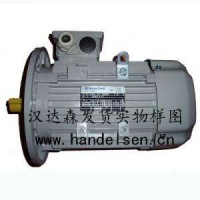 AC-Motoren感應電機循環(huán)電機磁力電機高轉矩電機直銷(xiāo)