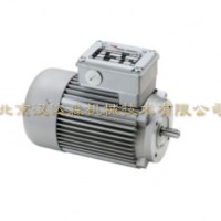 Minimotor單相異步電動(dòng)機型號簡(jiǎn)介