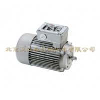 Minimotor-單相異步電動(dòng)機技術(shù)資料