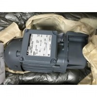 德國B(niǎo)auer電機BS03-63L/D07LA4技術(shù)資料