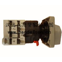SONTHEIMER轉換開(kāi)關(guān)F101KN LP19188