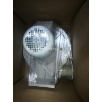 ELEKTROR工業(yè)徑向鼓風(fēng)機側通道低壓風(fēng)機