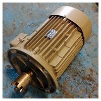 AC-MOTOREN GMBH電機特點(diǎn)介紹