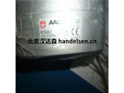 意大利AACO異步電動(dòng)機/電動(dòng)泵50 - 100系列