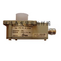 FSG發(fā)動(dòng)機電位計Sollwertsteller