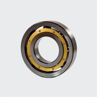 RODRIGUEZ精密軸承DRF-1255-2RS技術(shù)參數介紹