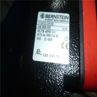 德國bernstein博恩斯坦調整工具