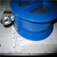 Spirax Sarco 控制系統 C/CS 204