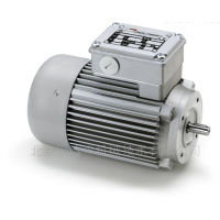 Minimotor伺服電機BS 55簡(jiǎn)介