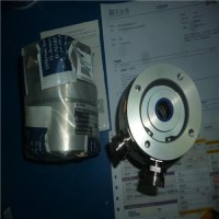 Sitema氣動(dòng)抱閘現貨預防承重機失效事故