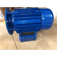 意大利CEMP無(wú)火花型電機