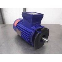 原廠(chǎng)采購CEMP防爆型剎車(chē)防爆電機