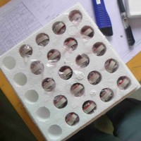 FAULHABER BRC系列直流無(wú)刷電機內置調速驅動(dòng)器