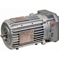原裝進(jìn)口意大利CEMP帶剎車(chē)防爆電機