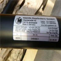 Hahn Gasfedern氣彈簧G20-40V4-00264用于汽車(chē)制造