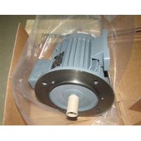 優(yōu)勢供應VEM永磁同步電動(dòng)機