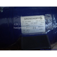 GROSCHOPP齒輪減速機專(zhuān)業(yè)制造商