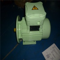 cemp IEC 無(wú)火花和防塵型電機