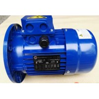 漢達森專(zhuān)業(yè)銷(xiāo)售MarelliMotori電機-意大利