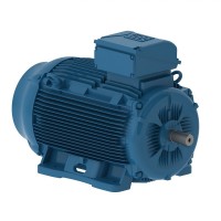 漢達森專(zhuān)業(yè)銷(xiāo)售weg電機-低電壓IEC電機 鑄鐵TEFC通用