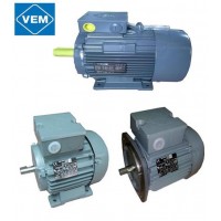 漢達森專(zhuān)業(yè)銷(xiāo)售VEM防爆電機-特征鑄鐵設計