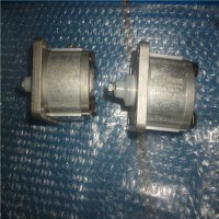 專(zhuān)業(yè)銷(xiāo)售齒輪泵和電機K-CASAPPA