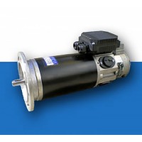 意大利 DRIVE SYSTEMS Srl 低壓繞線(xiàn)式直流電機 ME系列