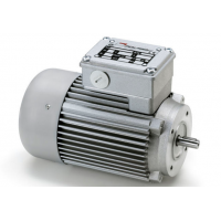 Minimotor齒輪電動(dòng)機MCER 160P2