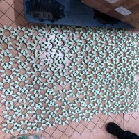 德國KTR螺旋彈性聯(lián)軸器75 ST 95SHA帶軸向執行器