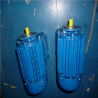 意大利CEMP氣體類(lèi)防爆電機ATL 270 2 3F 230D