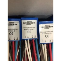 原廠(chǎng)德國供應REISSMANN溫度傳感器
