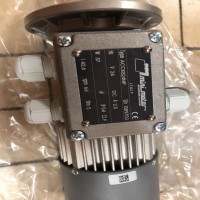 Mini Motor單向電機，異步電機系列展示