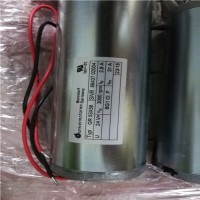 原裝進(jìn)口Dunkermotoren直流電機GR 42x40