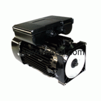 德國B(niǎo)UCHER Hydraulics布赫外齒輪電機 APM