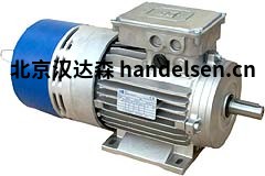 MTmotori快速制動(dòng)電機TFP/DFP系列