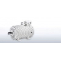 德國進(jìn)口原廠(chǎng)VEM 低電壓 變壓器電機