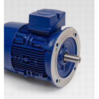 BIRKENBEUL三相標準電動(dòng)機5AP100L-8