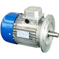 原裝進(jìn)口  MTmotori MN系列標電機