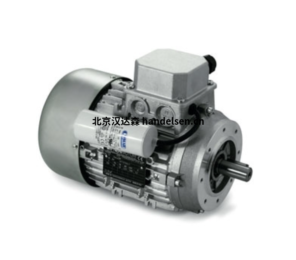 nerimotori DP系列雙速三相電機