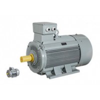 AC-MOTOREN 原廠(chǎng)采購單項電動(dòng)機