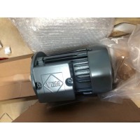 VEM低電壓IEC標準電動(dòng)機