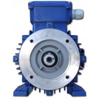 SMEM 電機T3A 80B 4POLI 原裝進(jìn)口
