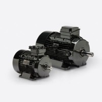 意大利 Bonfiglioli 異步電動(dòng)機BN 200L|30