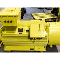 原廠(chǎng)進(jìn)口德國menzel motors低壓和高壓滑環(huán)感應電機