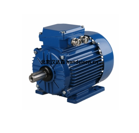 CANTONI dSg系列防爆電機
