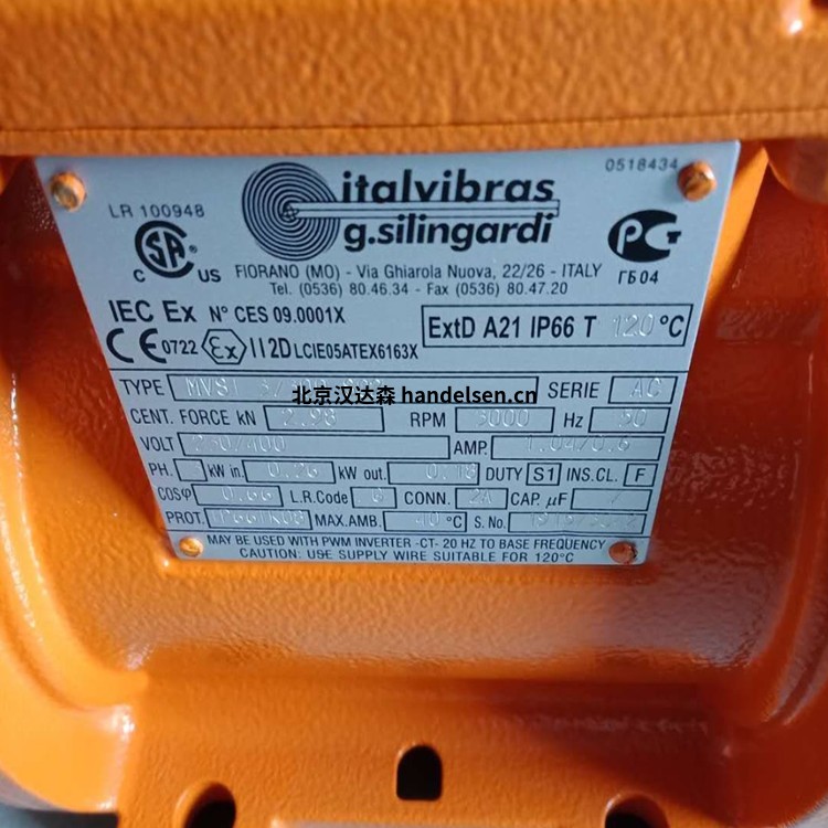 Italvibras G. Silingardi MVSI-TS帶分體罩的振動(dòng)電動(dòng)機 4_副本