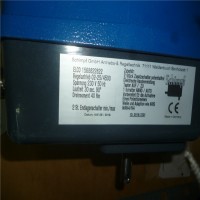 Schimpf開(kāi)關(guān)Schimpf型號ACM280S-6