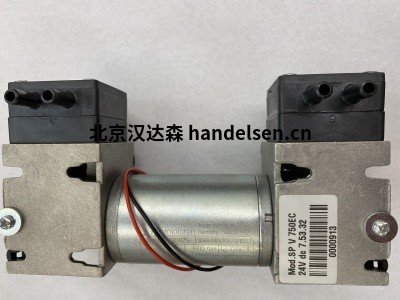 德國 Schwarzer Precision 線(xiàn)性隔膜泵 SP 3300 LI-DV