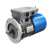 原廠(chǎng)進(jìn)口意大利摩鐸利motovario單相電機S系列