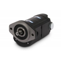 意大利進(jìn)口卡薩帕CASAPPA鑄鐵結構齒輪泵和電機SFP系列